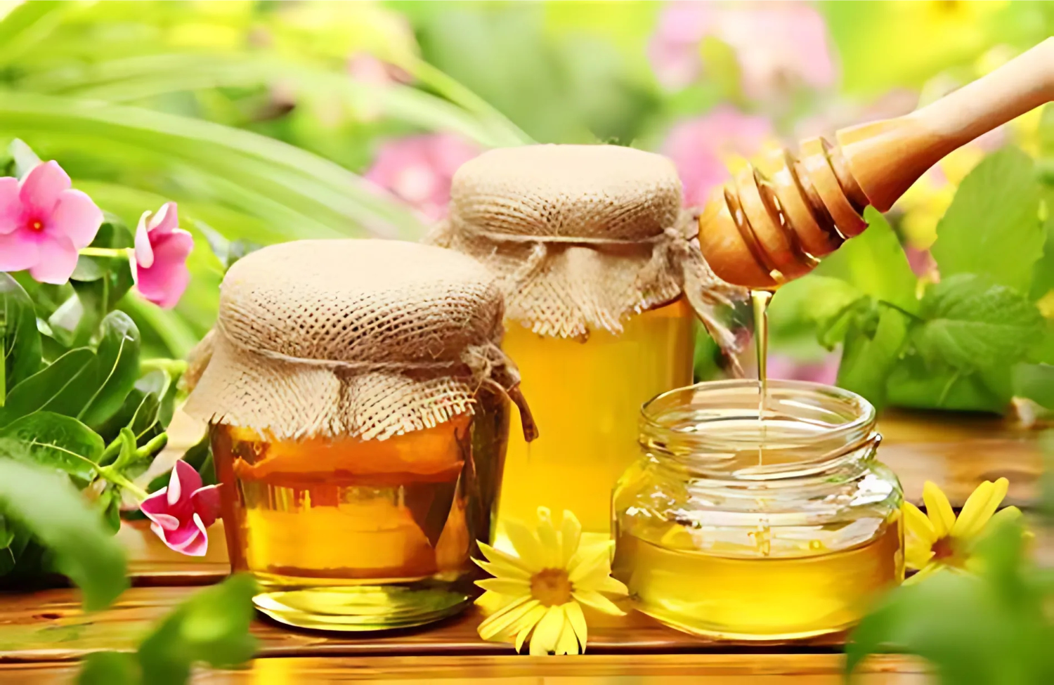 Infused Honey Varieties