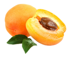 Apricot Infused Pure Honey