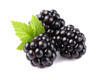 Blackberry Infused Pure Honey