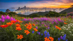 Pure Natural Brazilian Wildflower Honey